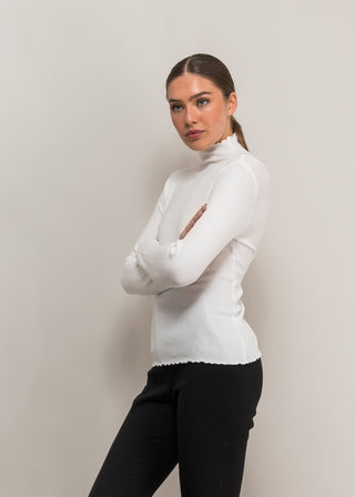 Sylvie turtle neck top